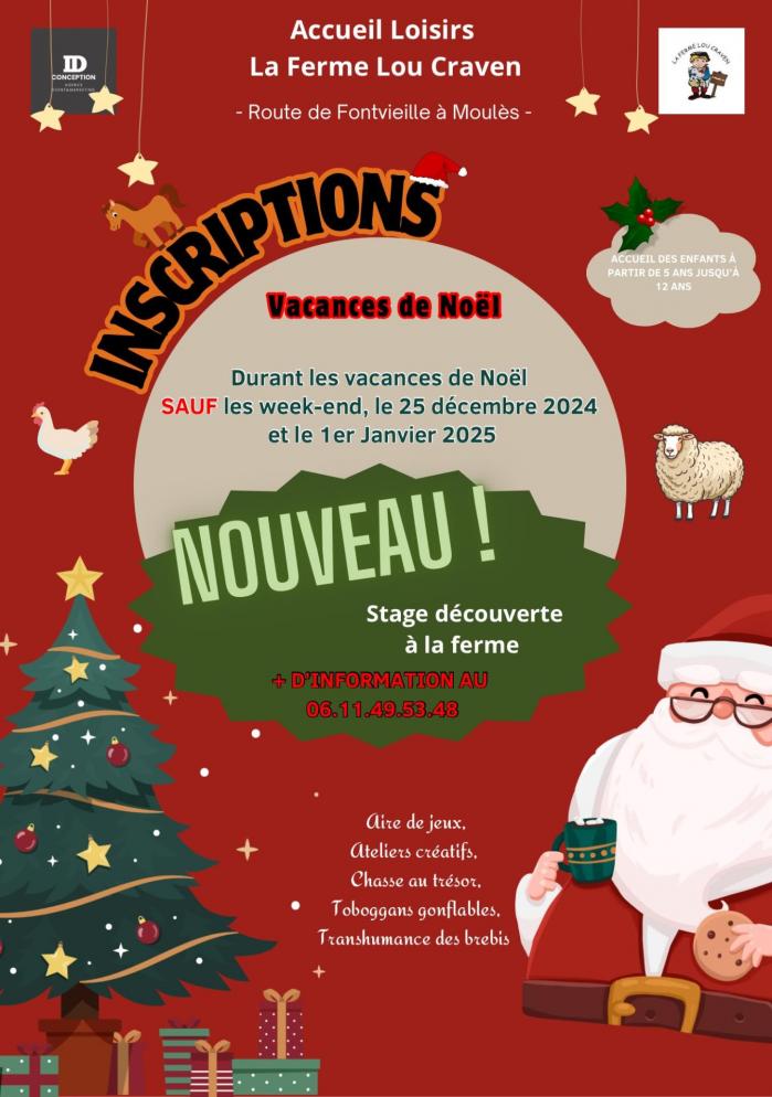 Flyer stage noe l enfant 1